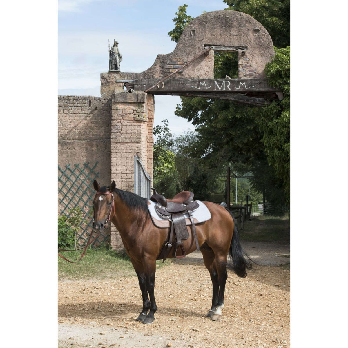 Westride Almohadilla de fieltro Gris