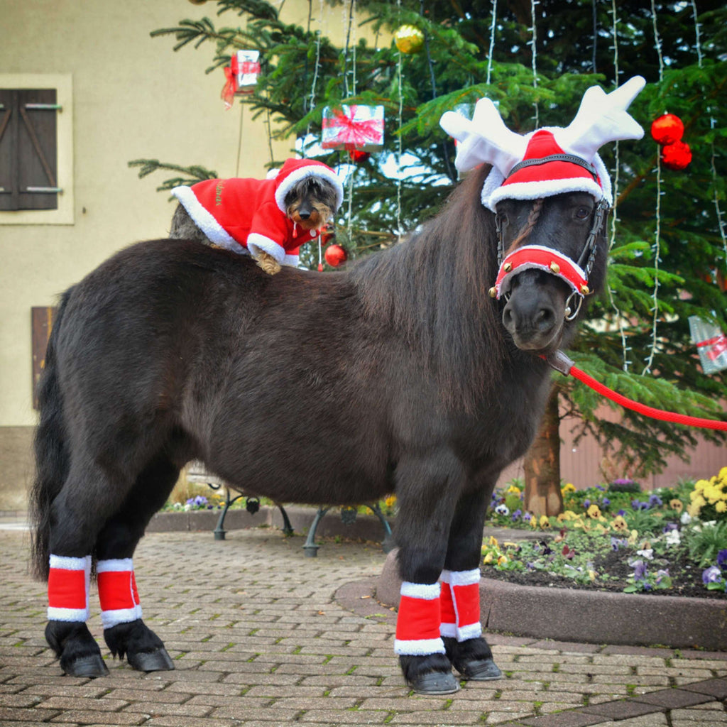 EQUITHÈME Cuerno de Reno Sombrero de Navidad Rojo