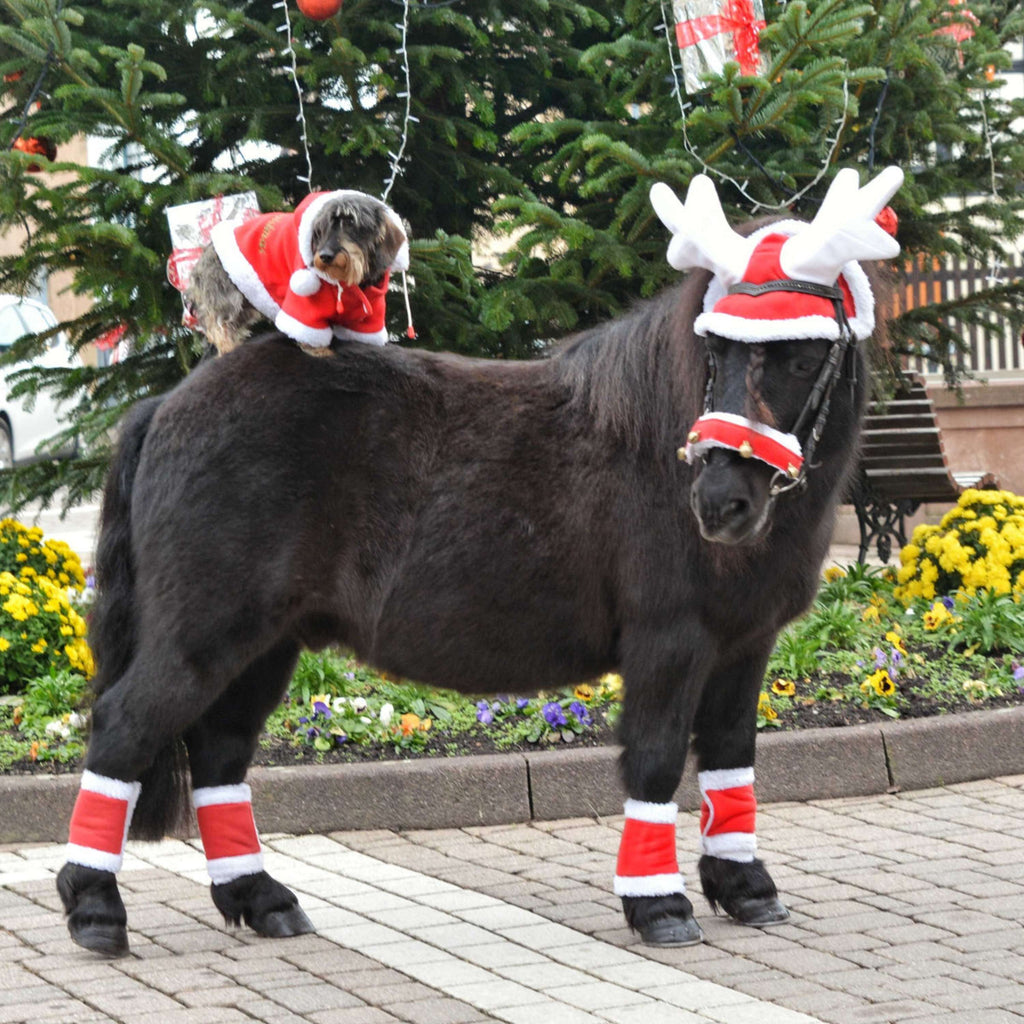 EQUITHÈME Cuerno de Reno Sombrero de Navidad Rojo