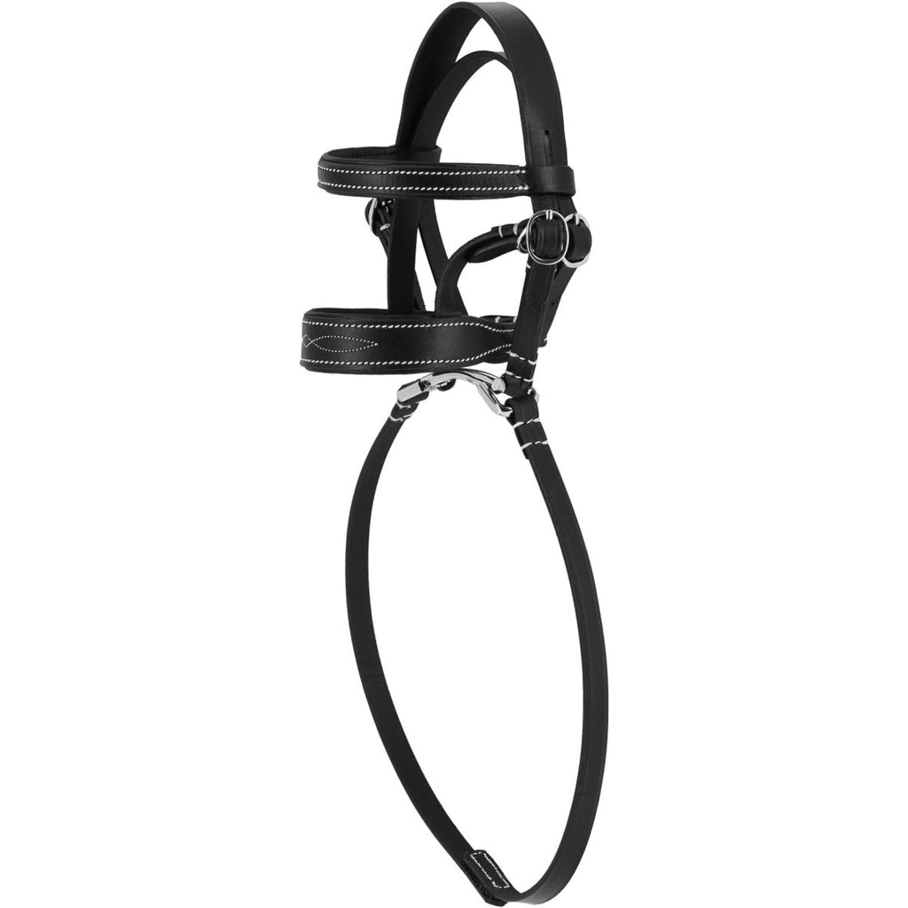 EQUITHÈME Pony Academy Brida Negro