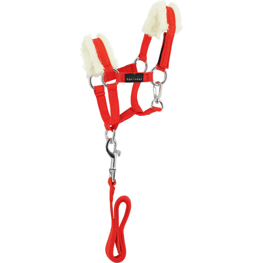 EQUITHÈME Pony Academy Juego de Cabestro Rojo