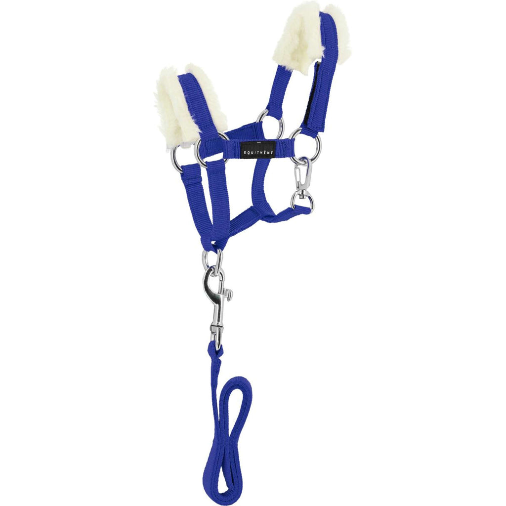 EQUITHÈME Pony Academy Juego de Cabestro Azul Real
