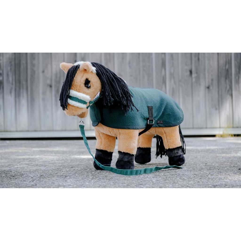 EQUITHÈME Pony Academy Juego de Cabestro Verde oscuro