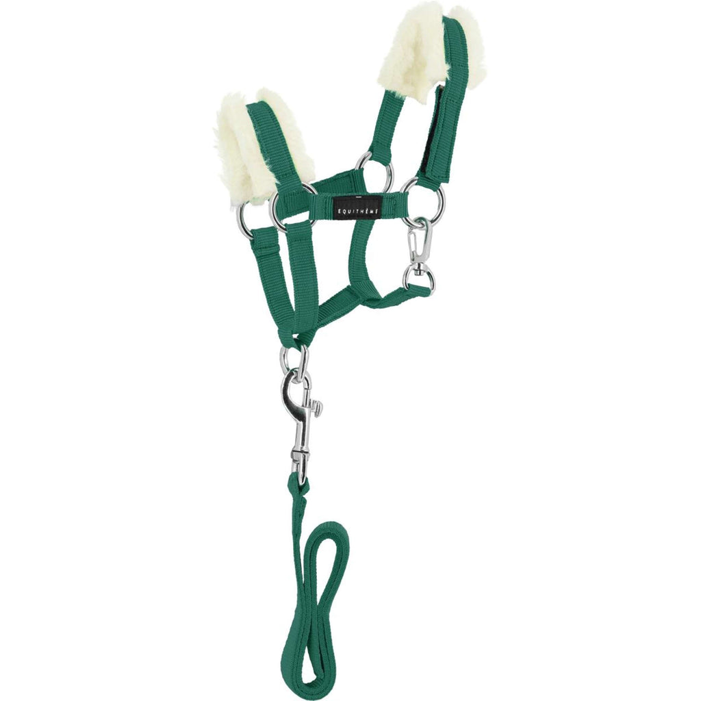 EQUITHÈME Pony Academy Juego de Cabestro Verde oscuro
