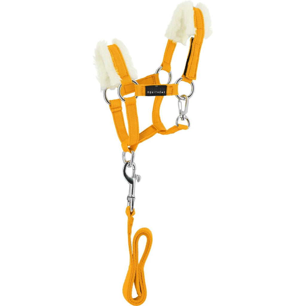 EQUITHÈME Pony Academy Juego de Cabestro Amarillo
