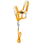 EQUITHÈME Pony Academy Juego de Cabestro Amarillo