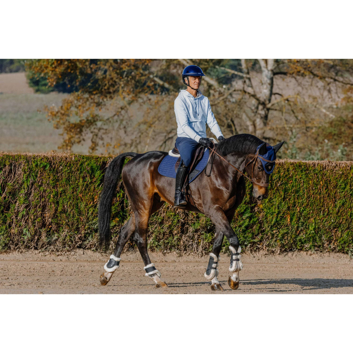 EQUITHÈME Sudadera Axel Unisex Azul/Azul claro