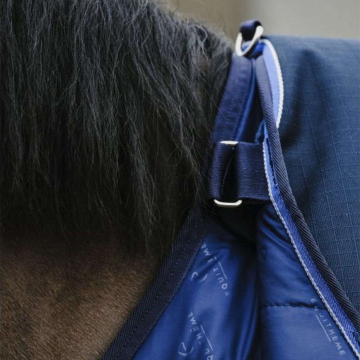 EQUITHÈME Bajoalfombra Classic 50g Navy