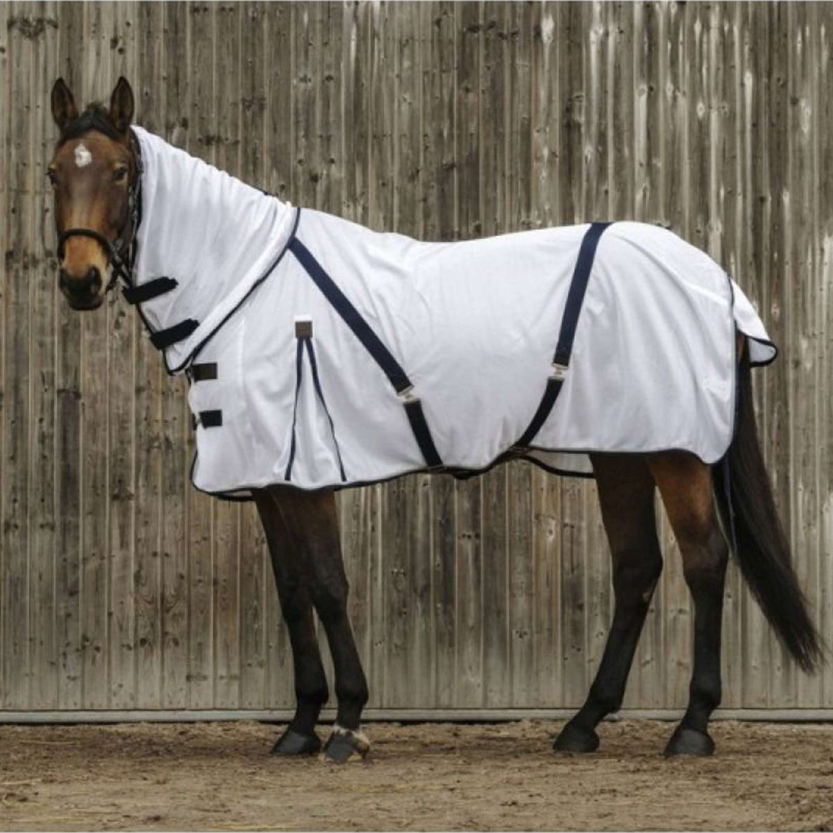 EQUITHÈME Manta Antimoscas Mesh Summer Blanco
