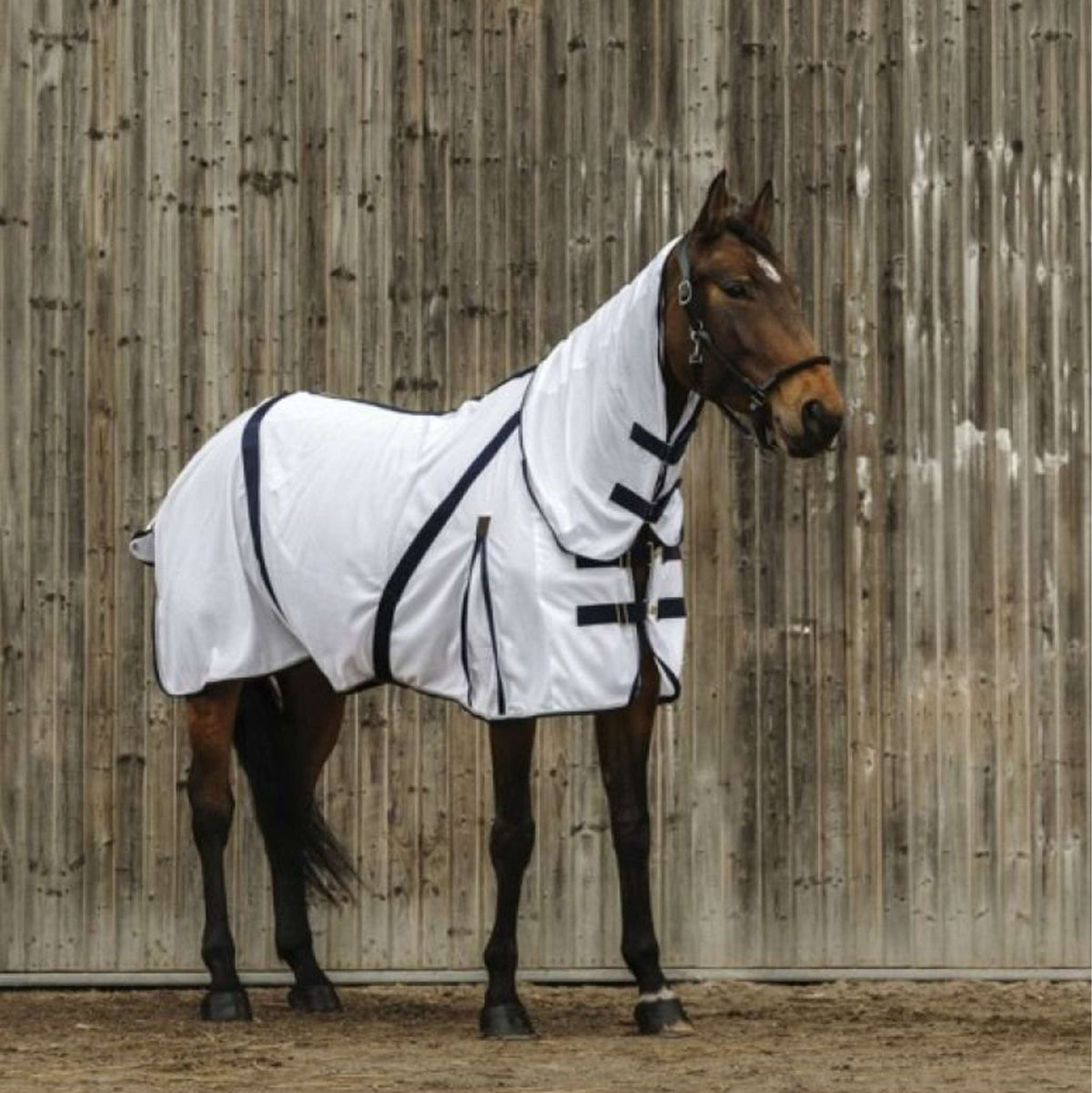 EQUITHÈME Manta Antimoscas Mesh Summer Blanco