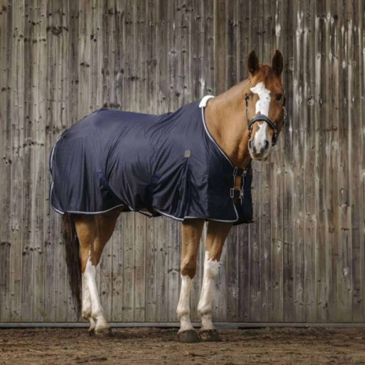EQUITHÈME Manta Antimoscas Micro Mesh Navy