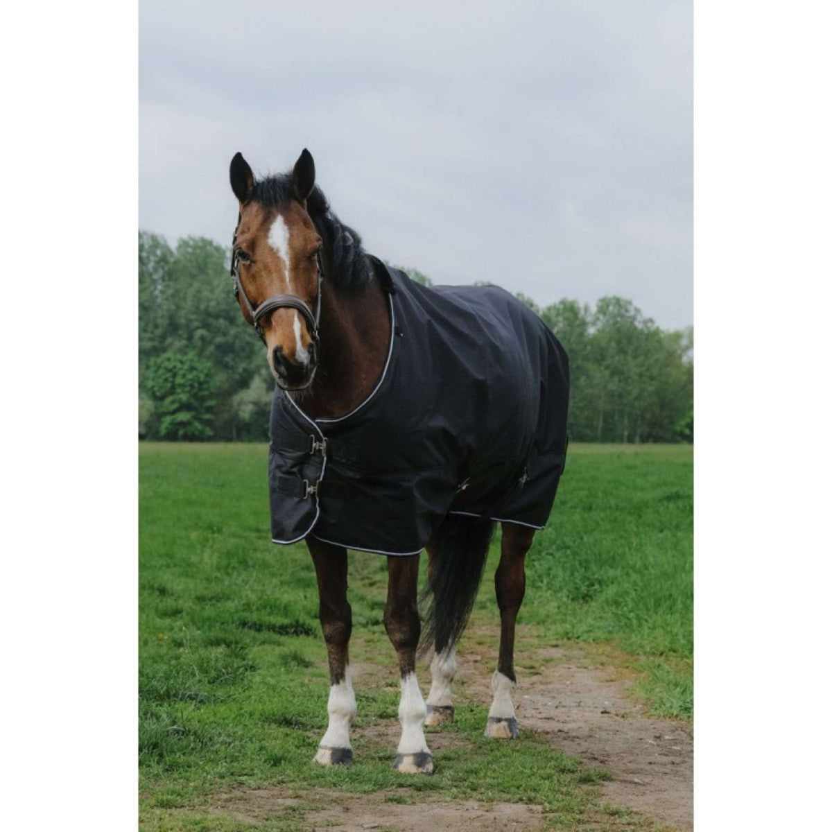 EQUITHÈME Alfombra de Exterior 600D Standard 50g Negro