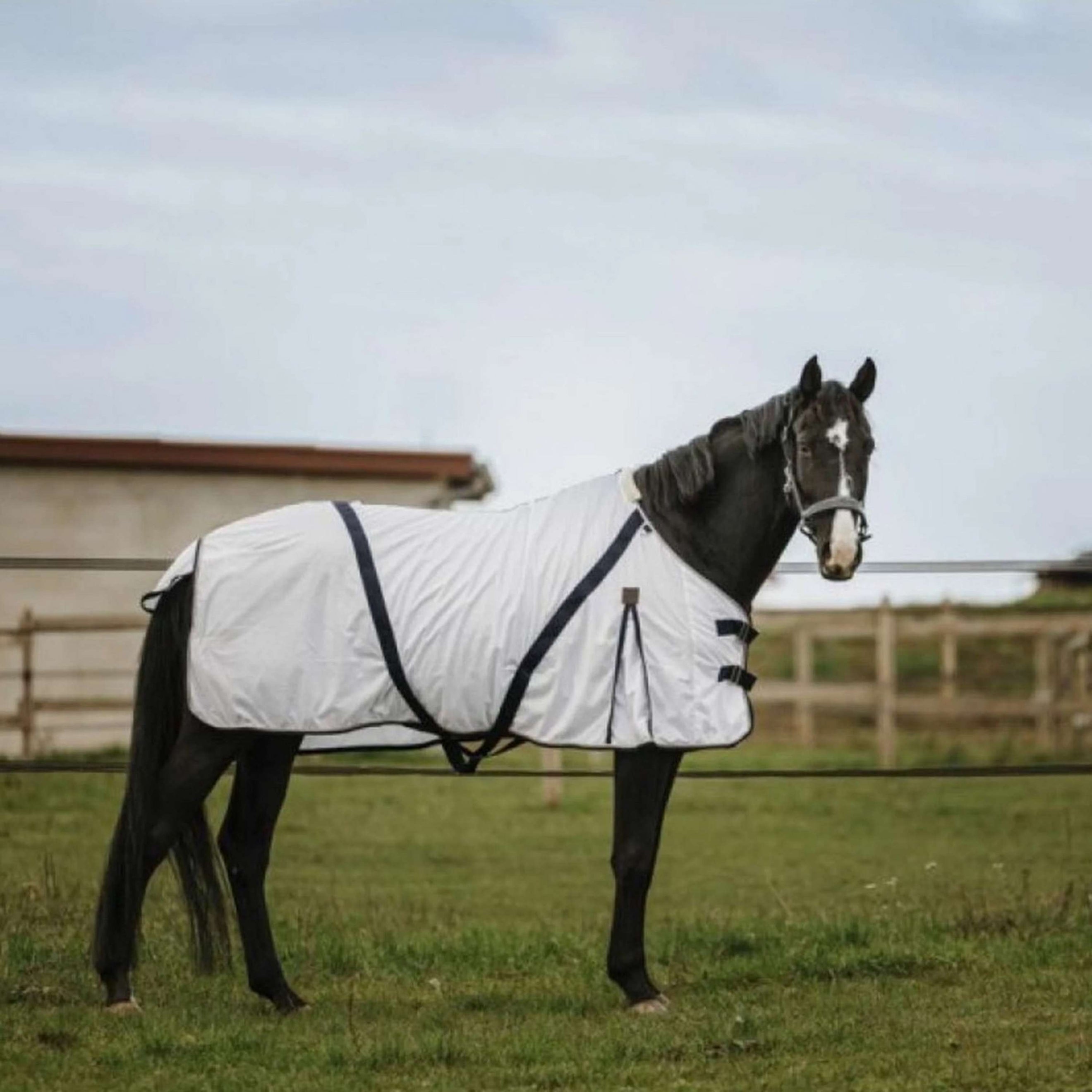 EQUITHÈME Manta Antimoscas Mesh Blanco EQUITHÈME Manta Antimoscas Mesh Blanco