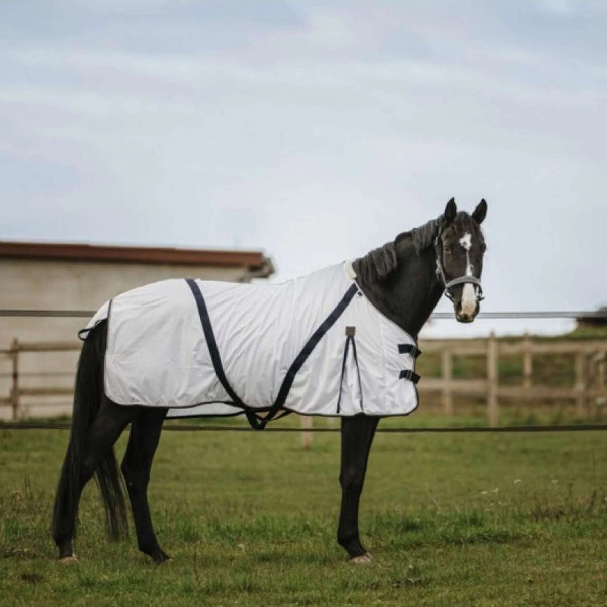 EQUITHÈME Manta Antimoscas Mesh Blanco