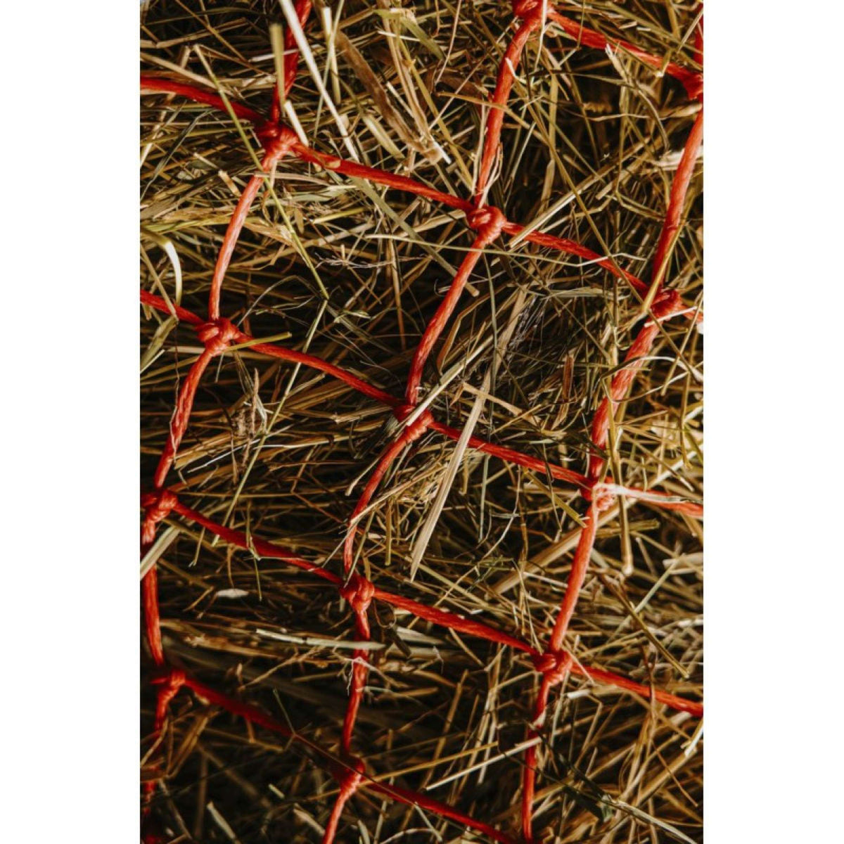 Hippotonic Red de Heno Long Rojo