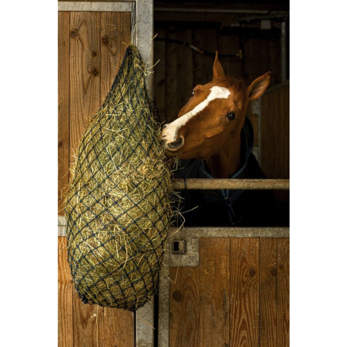 Hippotonic Red de Heno Long Navy