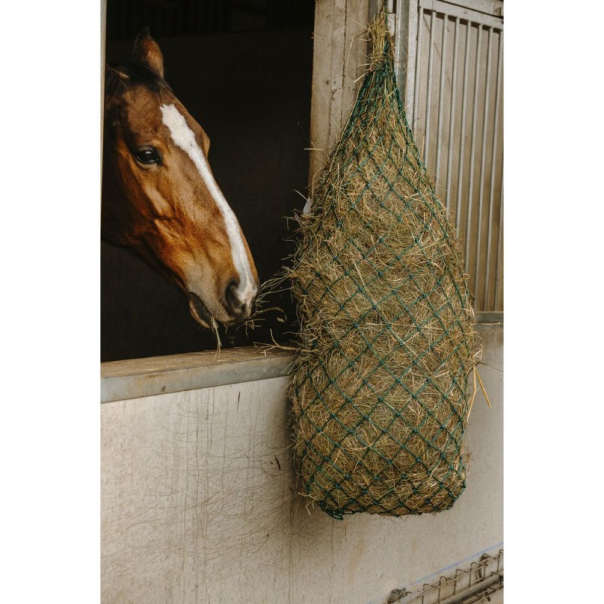 Hippotonic Red de Heno Long Verde