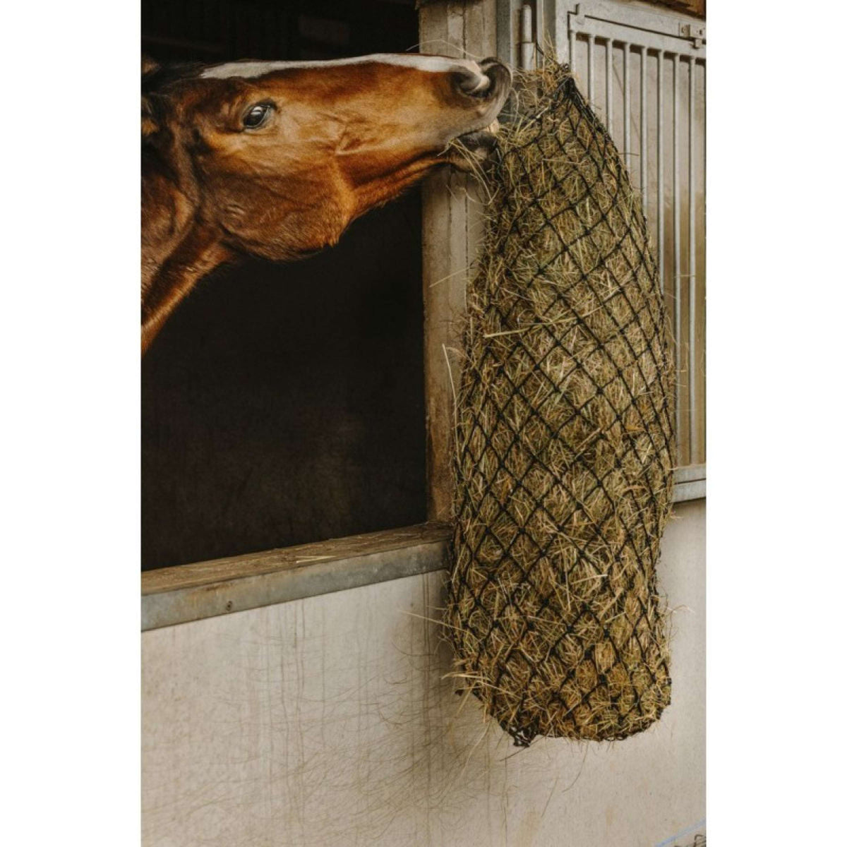 Hippotonic Red de Heno Long Negro