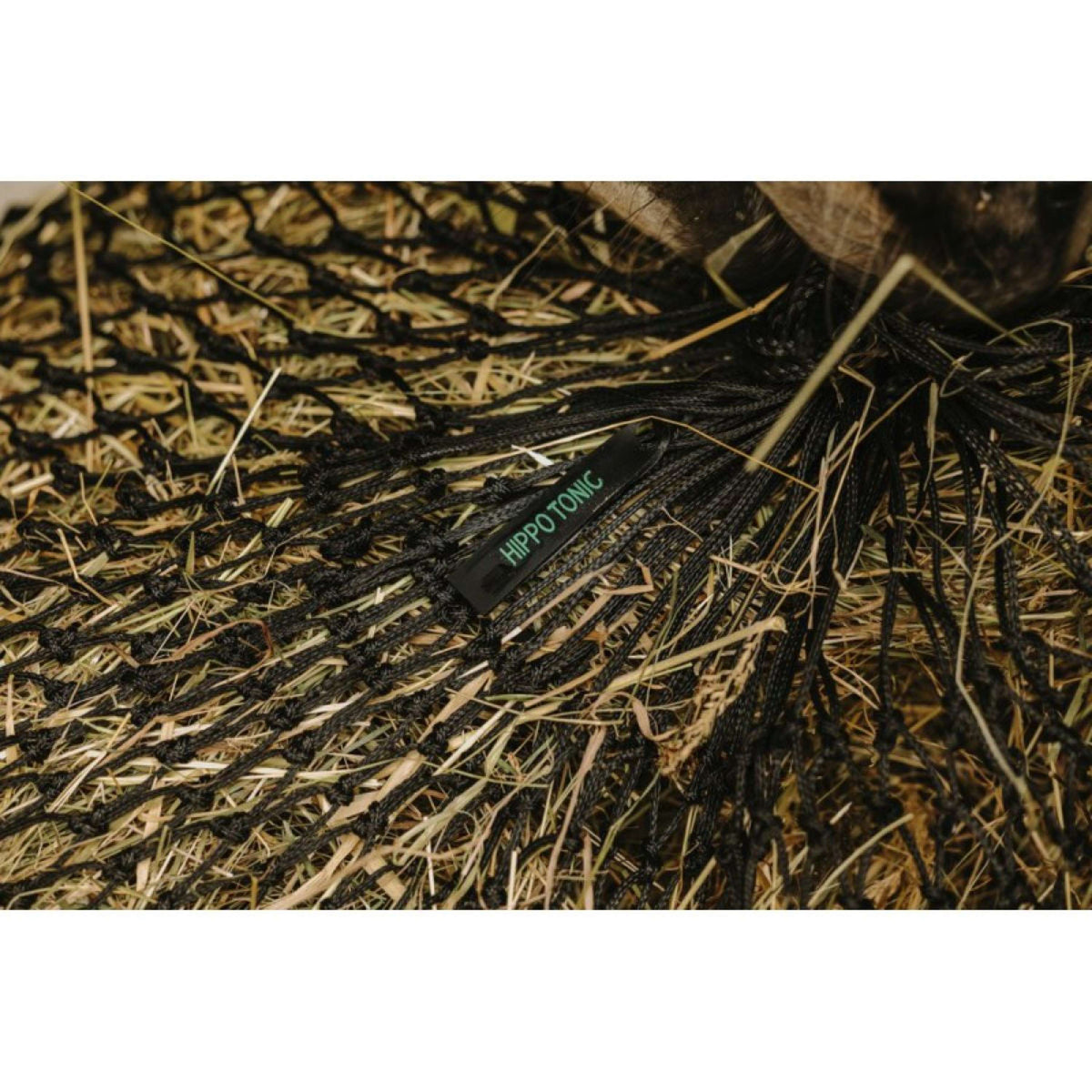 Hippotonic Red de Heno Parachute Negro