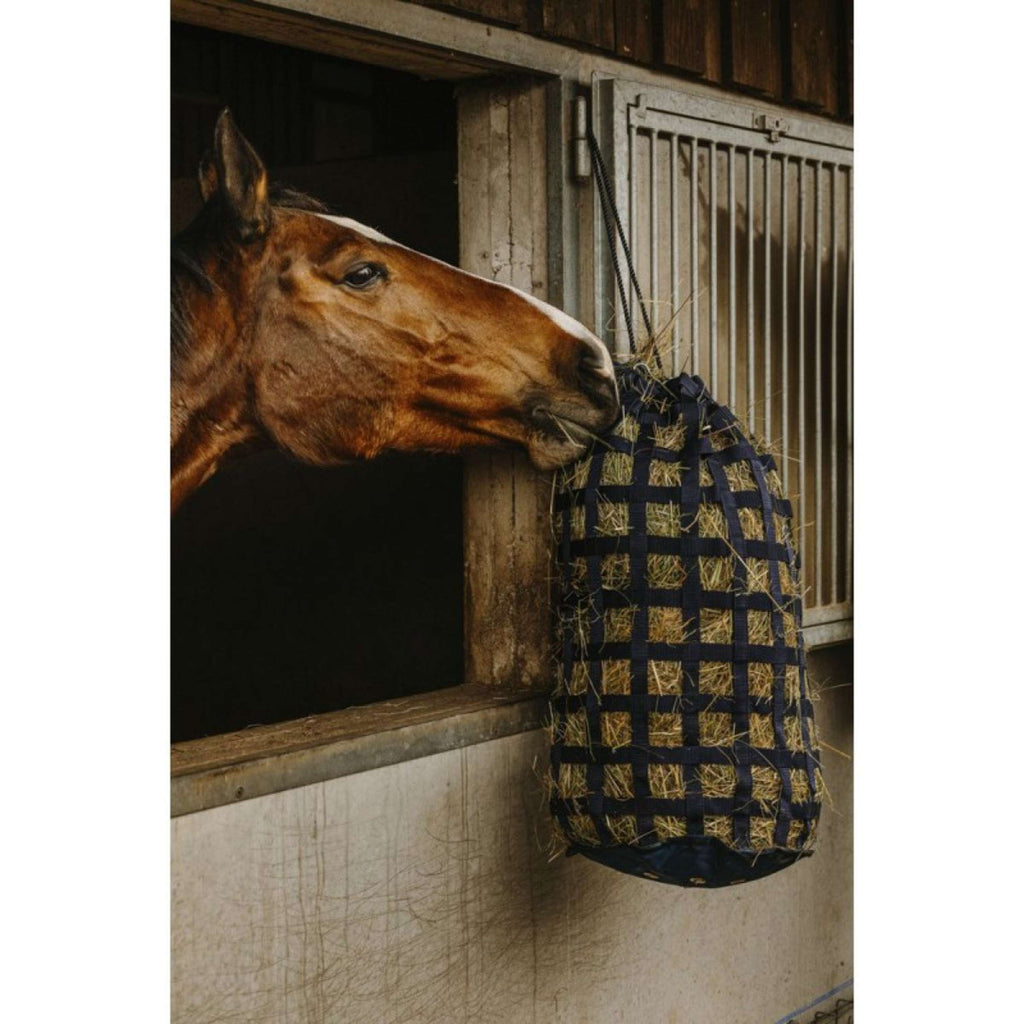 Hippotonic Red de Heno Webbing Navy