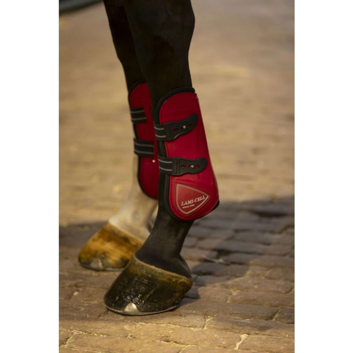 Lami-Cell Protectores de Tendones y Botas para Menudillos Burdeos
