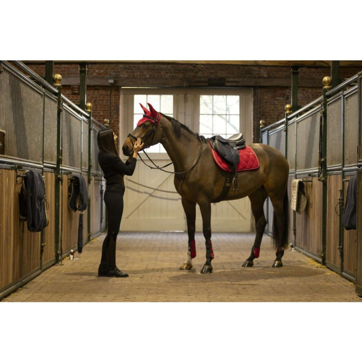 Lami-Cell Protectores de Tendones y Botas para Menudillos Burdeos