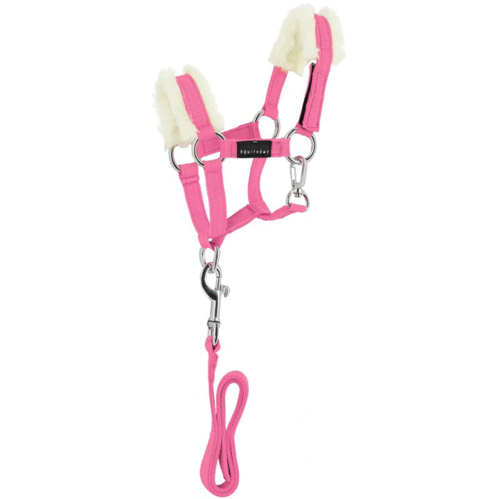 EQUITHÈME Juego de Cabestro Pony Academy Rosa