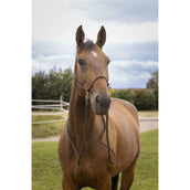 Norton Cabezada de montar Portuguese (PT): com Rédeas Marron