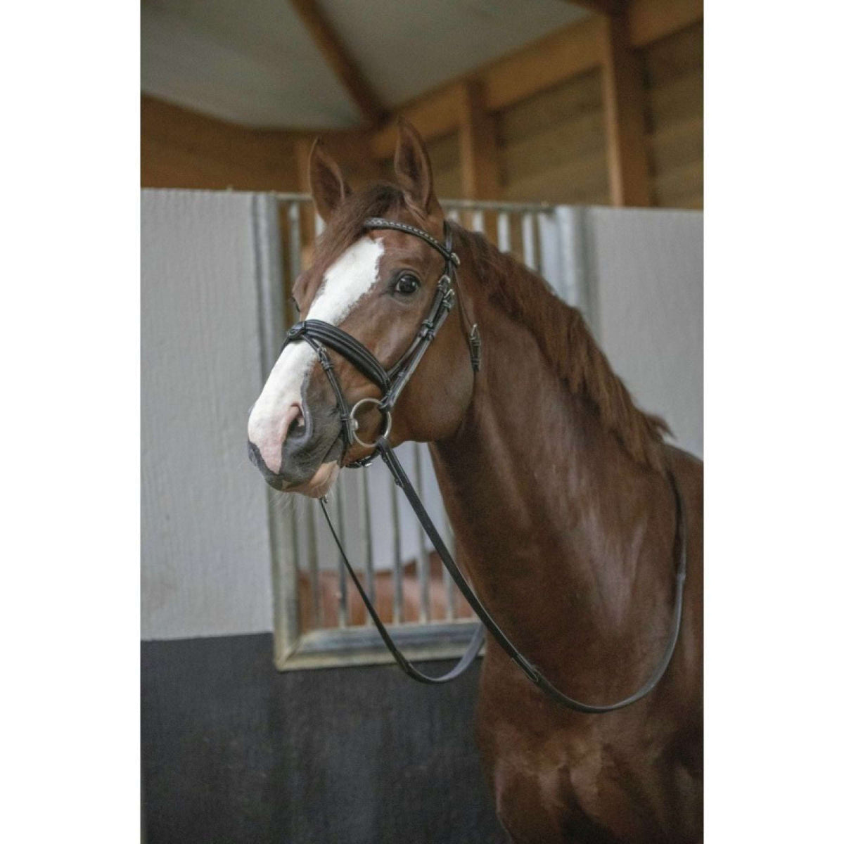 Pénélope Brida Daily Chocolate