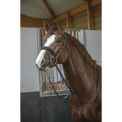 Pénélope Brida Daily Chocolate