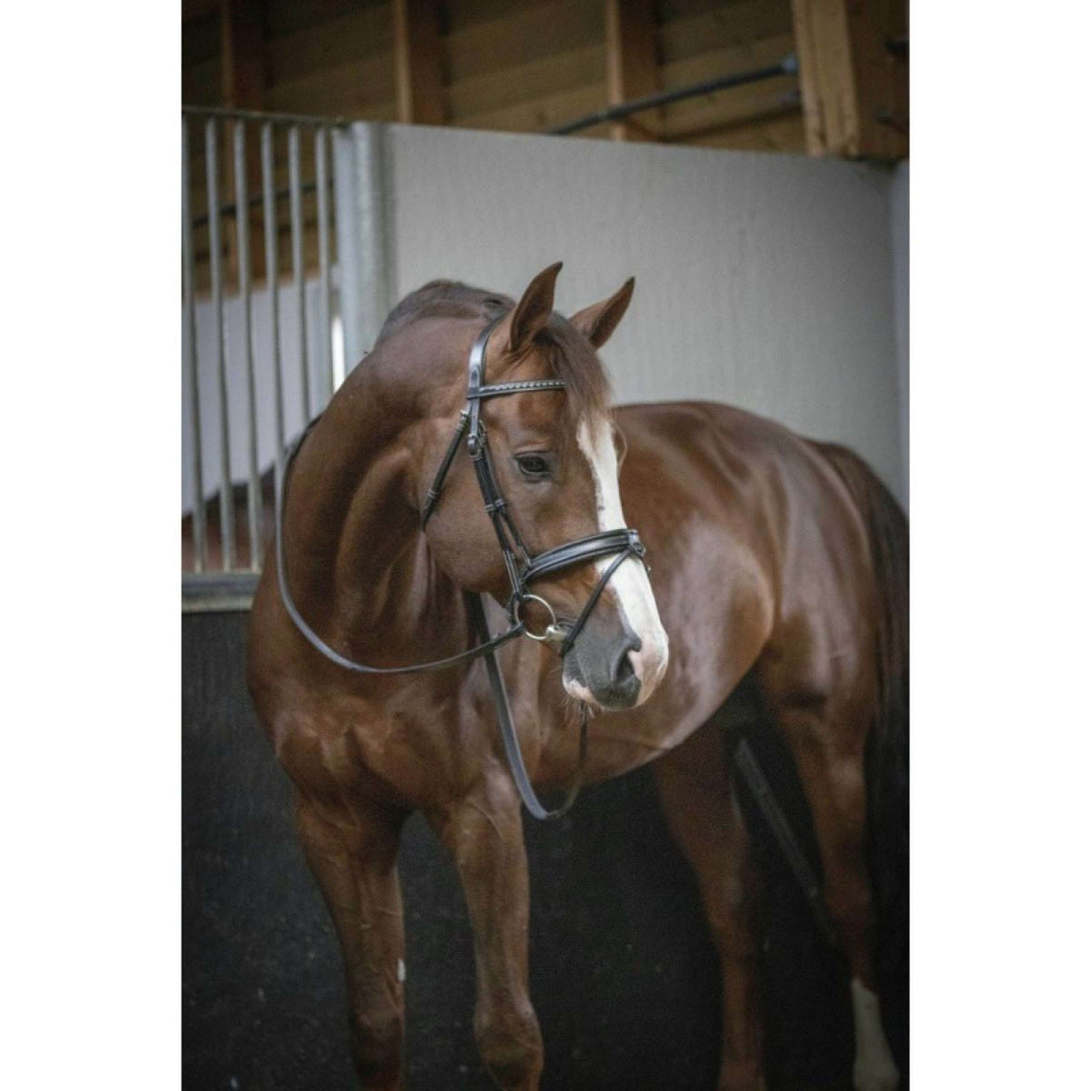 Pénélope Brida Daily Chocolate