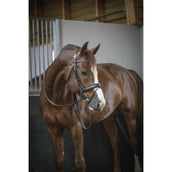 Pénélope Brida Daily Chocolate