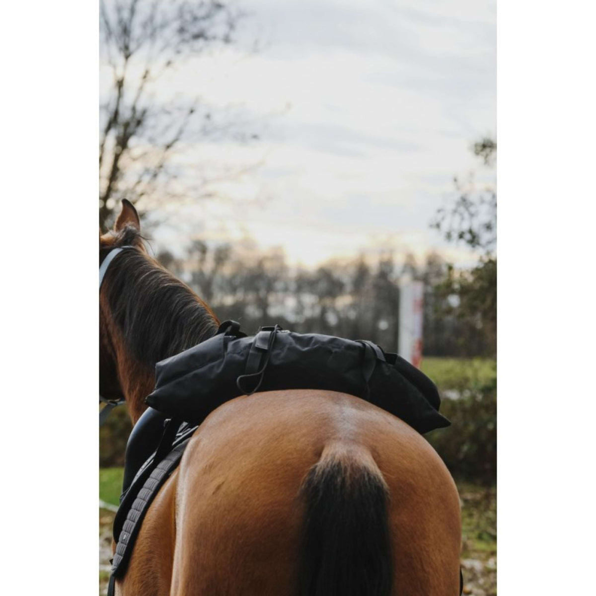 Randol's Bolsa de Sillín Banana Negro