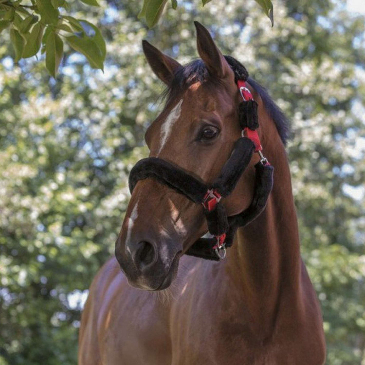 Norton Cabezada Piel de oveja sintética negra Negro Rojo