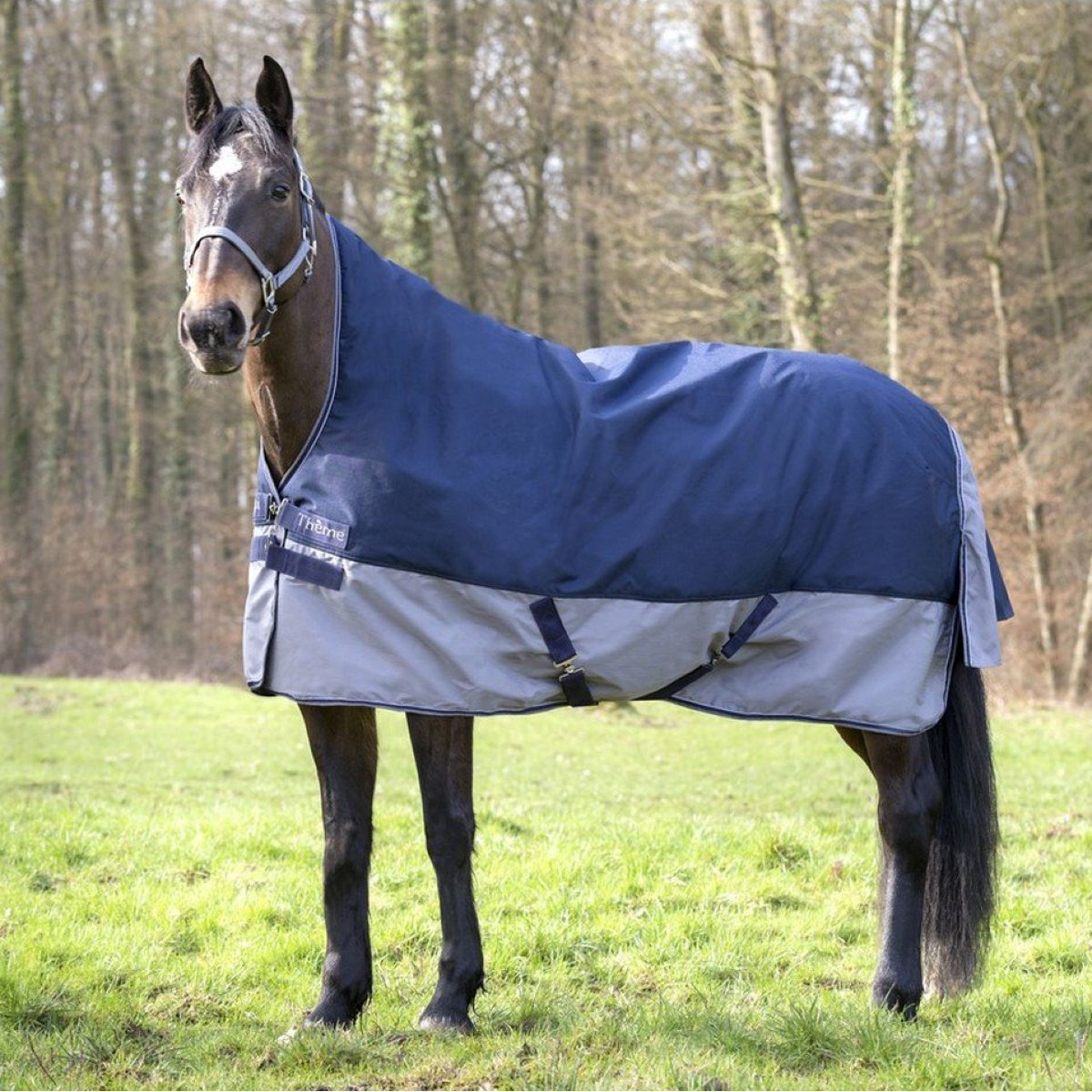 EQUITHÈME Turnout Rug Tyrex Cuello Alto 600D 300g Marino/Gris Puntos