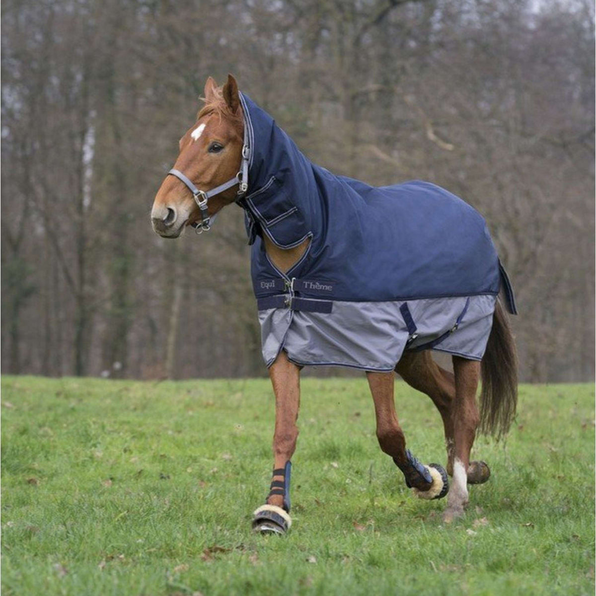EQUITHÈME Turnout Rug Tyrex Combinado 600D 200g Marino/Gris Puntos