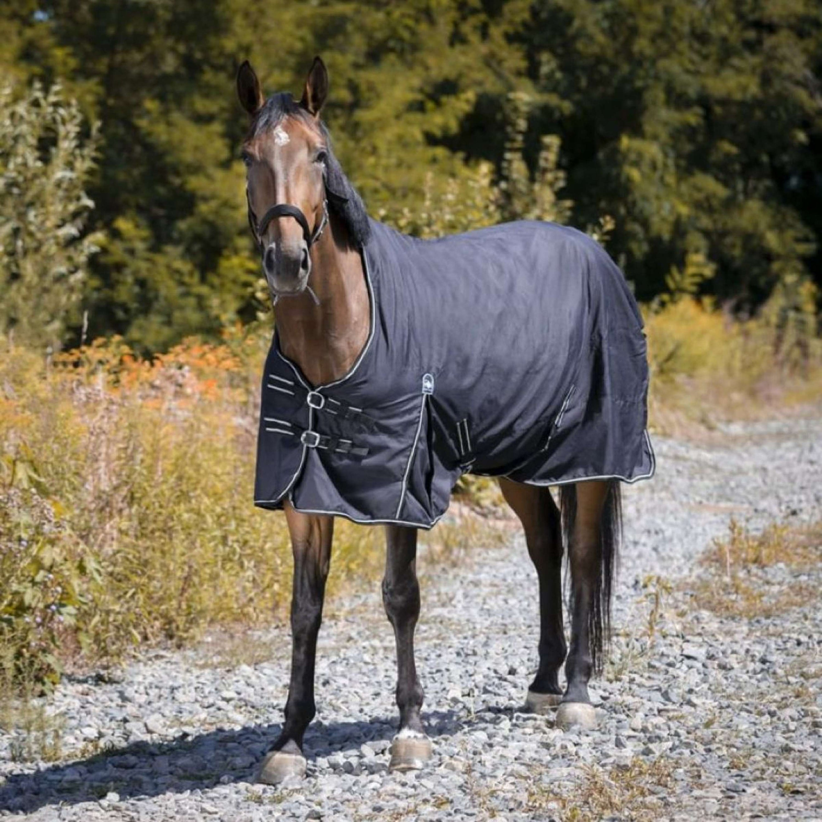 Riding World Alfombra de Exterior Oxford 220g Negro Riding World Alfombra de Exterior Oxford 220g Negro