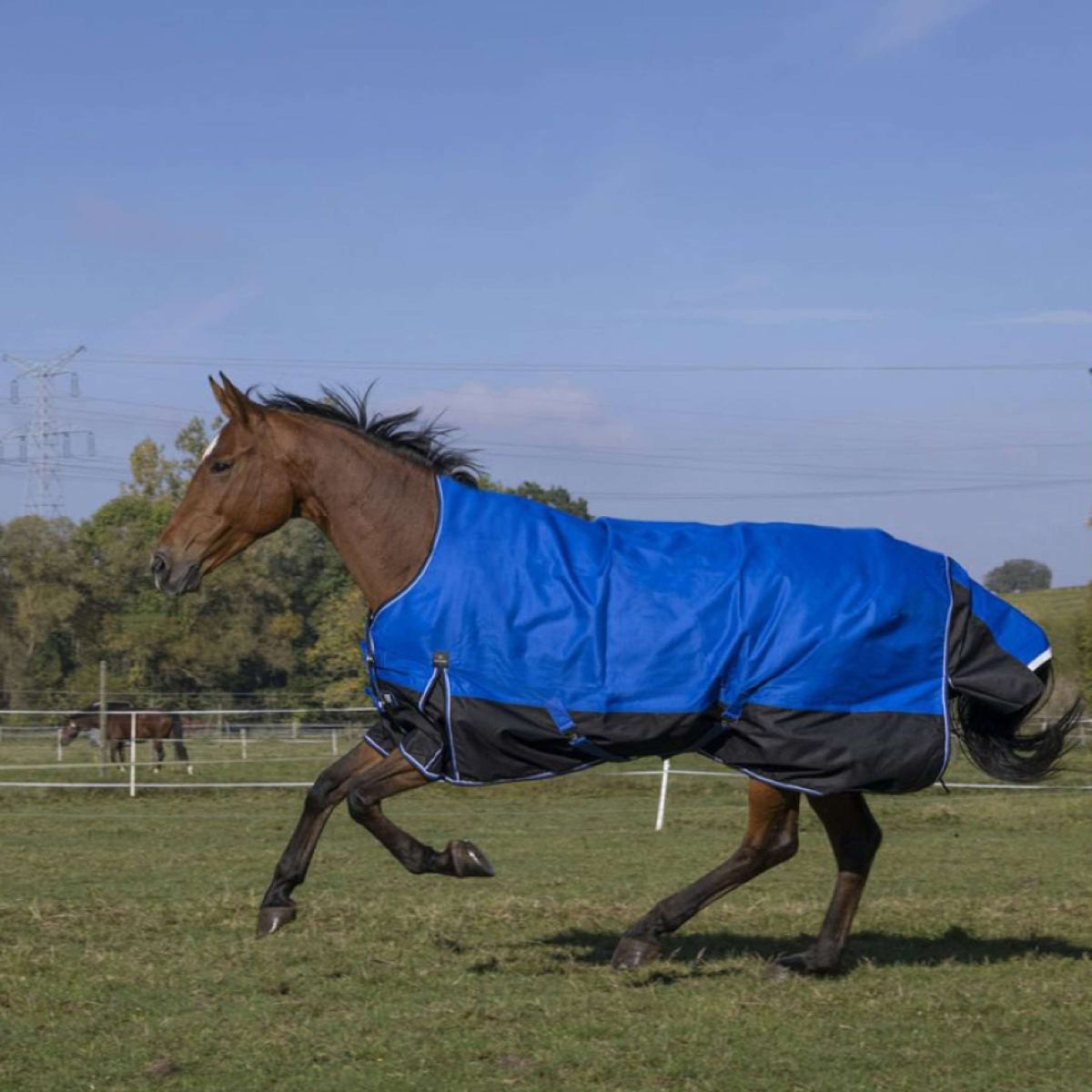 EQUITHÈME Alfombra de Exterior Tyrex 1200D Aisance 300g con Media Cuello Azul/Negro