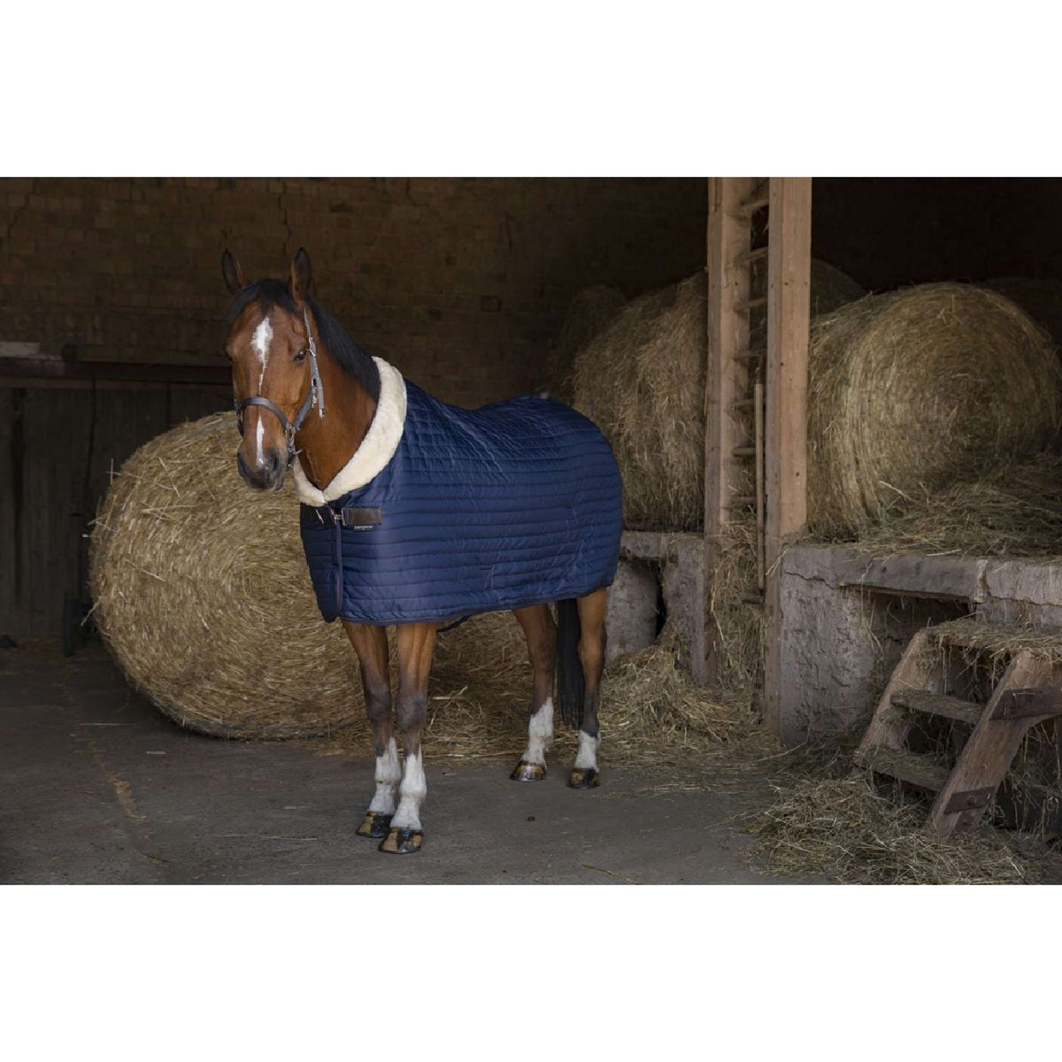 EQUITHÈME Manta de Establo Teddy Forrado con Piel de Oveja Sintética Navy