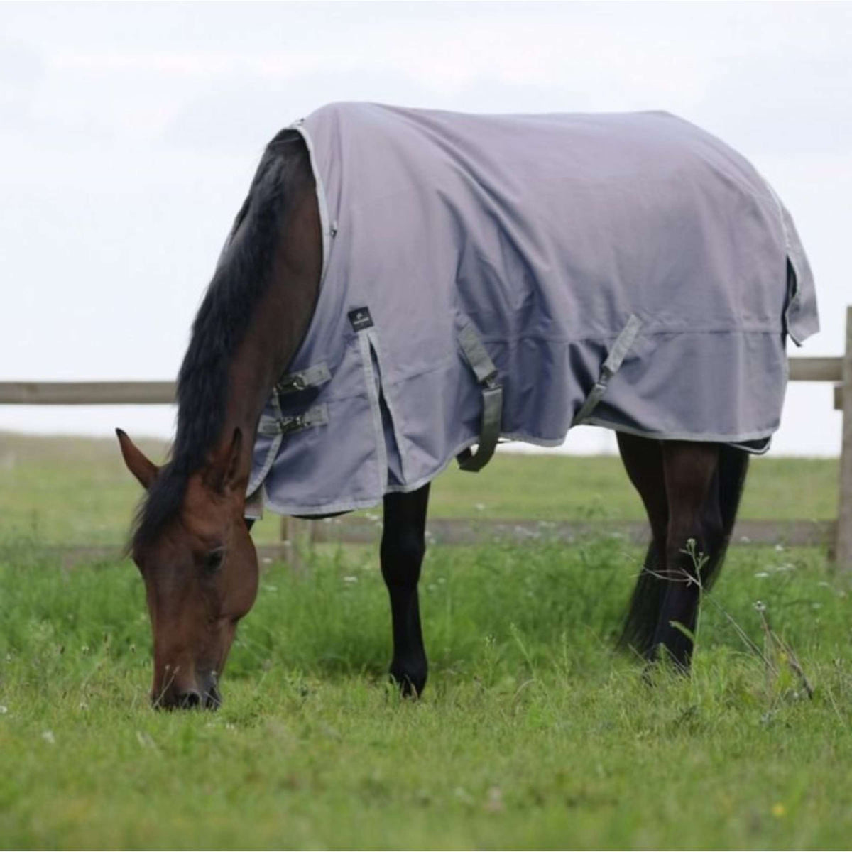 EQUITHÈME Manta Impermeable Tyrex 1200D 0g Taupe