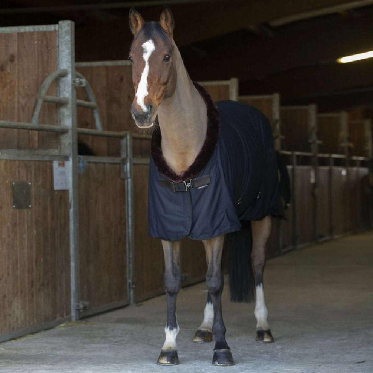 EQUITHÈME Cooler Teddy Negro/Marrón