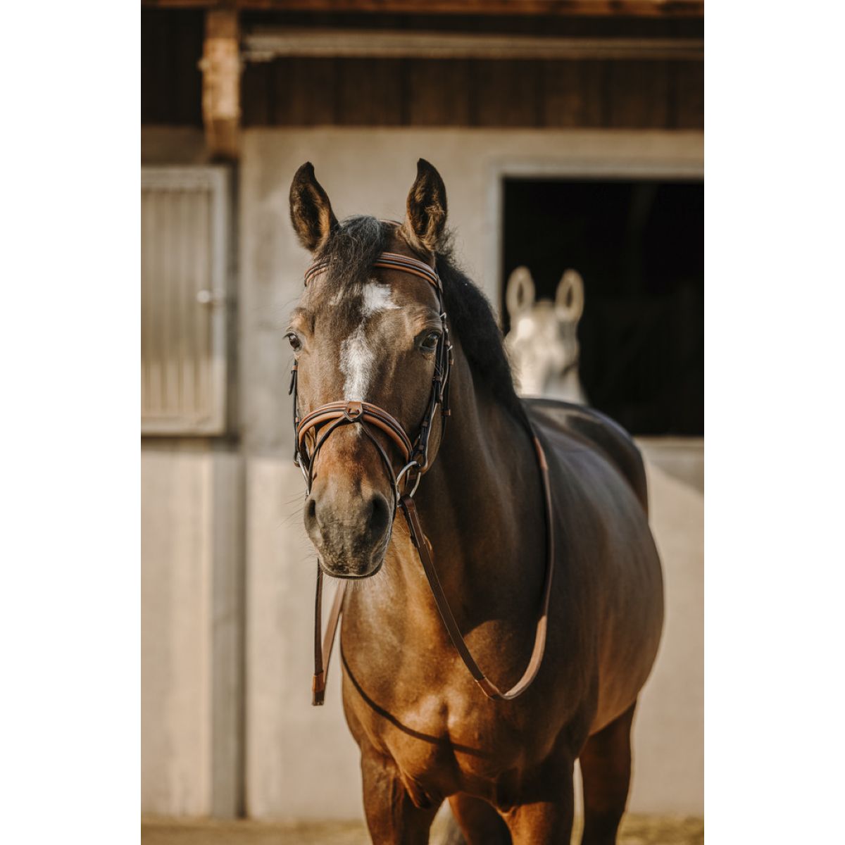 Eric Thomas Brida Work Habana