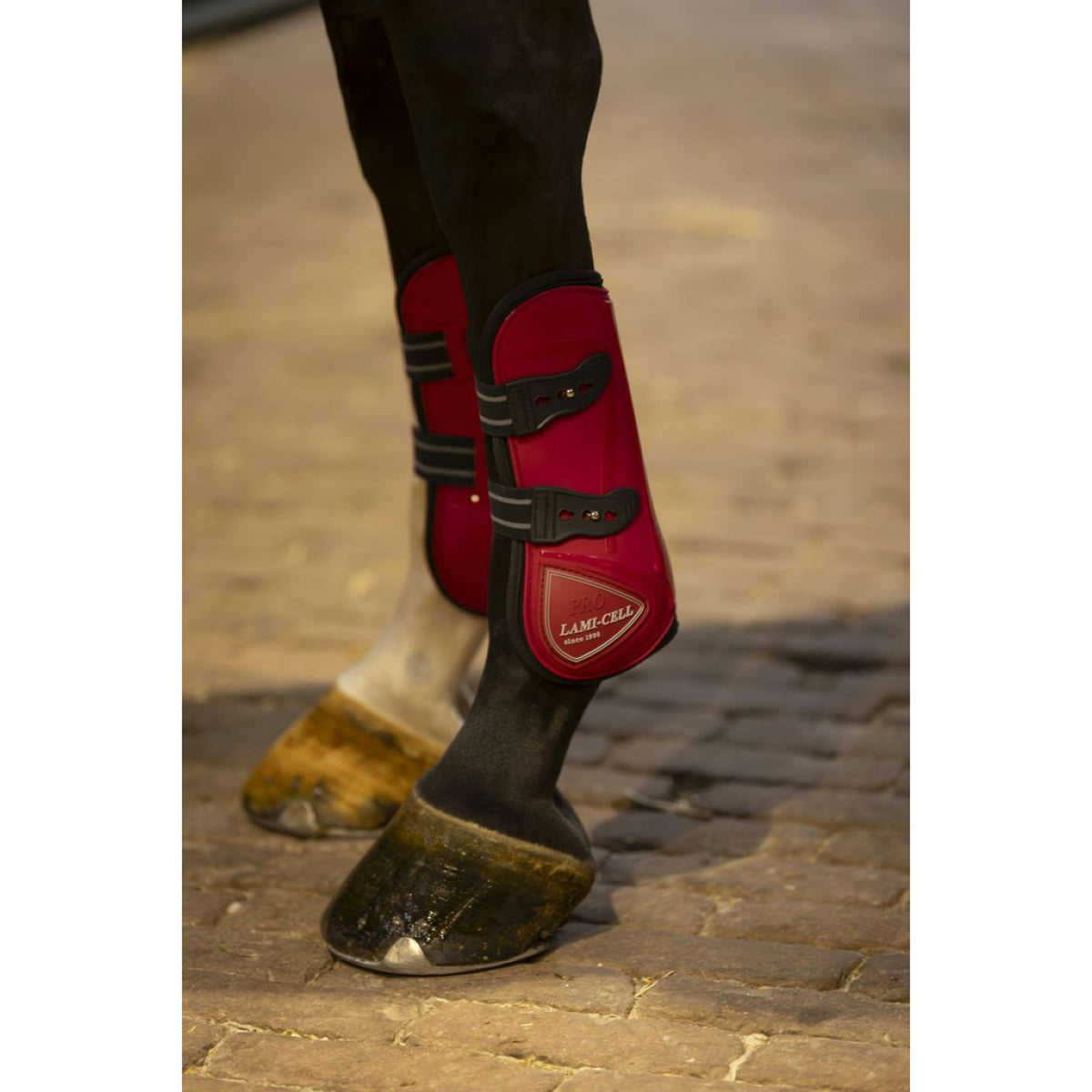 Lami-Cell Protectores de Tendones y Botas para Menudillos Rojo