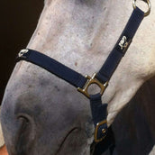 Animaderm Crema de Cuidado Cutene