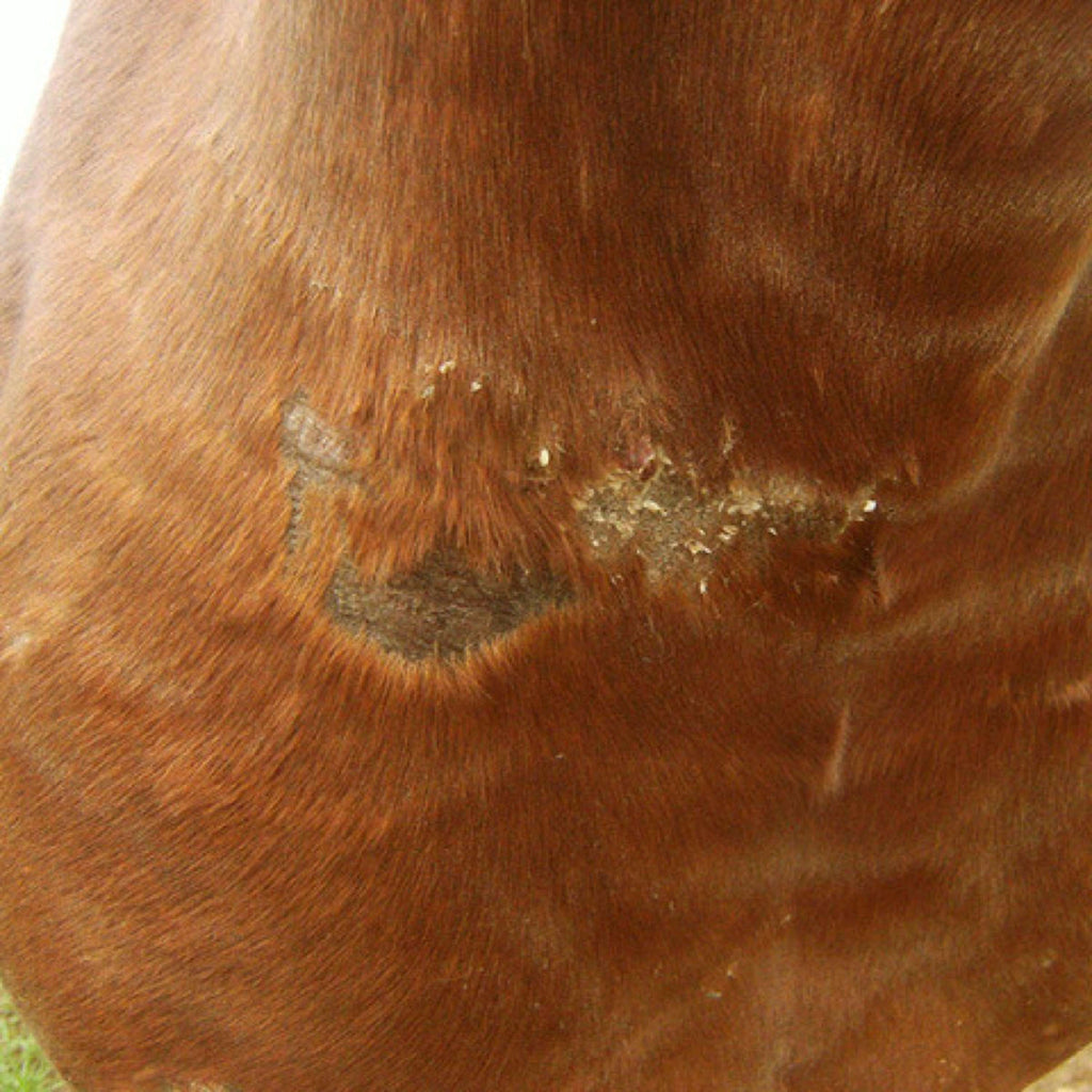 Animaderm Crema de Cuidado Cutene
