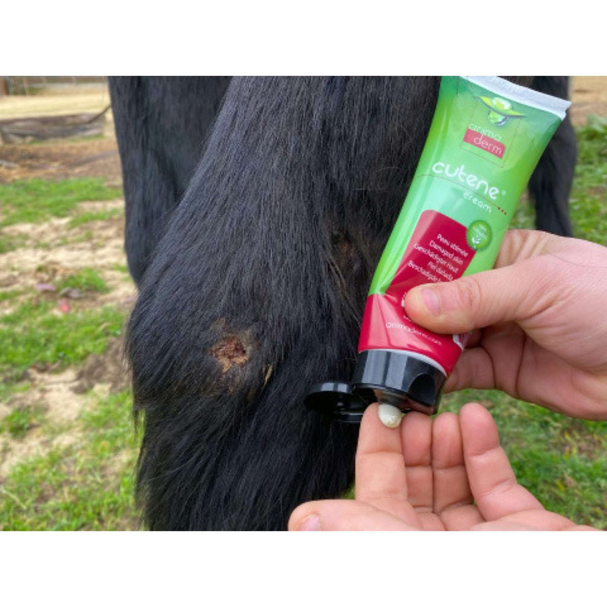 Animaderm Crema de Cuidado Cutene