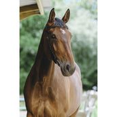 Norton Brida Freedom Negro