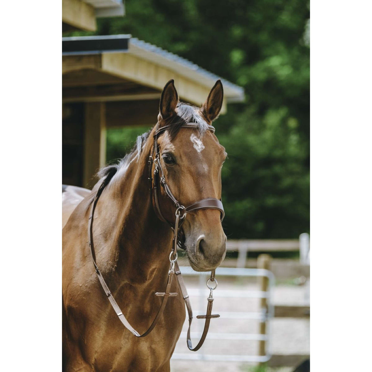 Norton Brida sin Bocado Habana