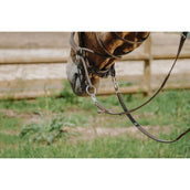 Norton Brida sin Bocado Habana