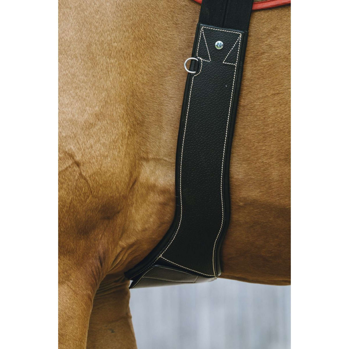 Norton Cincha Magnet Anatomisch Negro